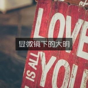 显微镜下探寻大明，历史文化深度解读书籍