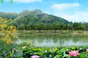 风景背景