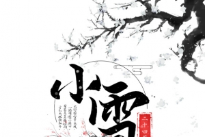冬天小雪丹顶鹤梅花树枝