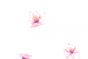 粉色的小花