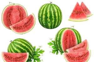 各种西瓜的夏天