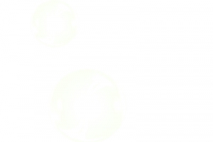 泡泡