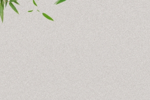 端午节咸鸭蛋颗粒竹叶简约灰色背景