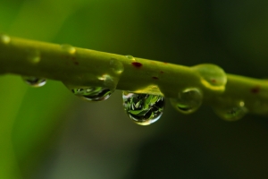 一滴水 雨滴 心情 水滴 4K壁纸