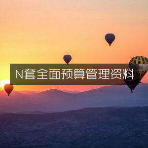 N套全面预算管理精华资料