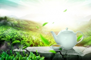 茶道宣传海报背景素材