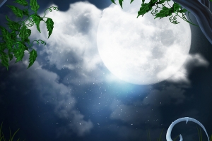魔幻的深林里总会有精灵的出现