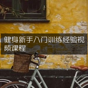 健身新手必备，入门训练实战视频教程
