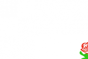 黄色卡通手绘皇冠皇家玫瑰园logo