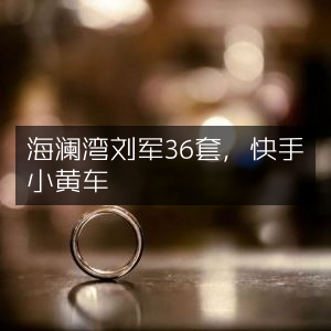 海澜湾刘军36款精选，快手小黄车专享