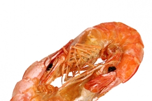 天然野生淡干对虾干