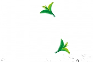 薄荷高清PNG透明植物装饰元素设计素材免费下载