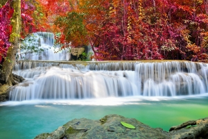 秋天 森林 瀑布风景 4K壁纸