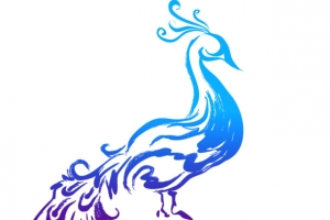 孔雀剪影