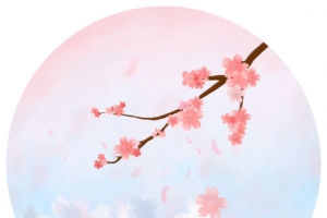 樱花手绘古风