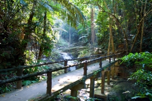 静谧小路森林风景 小溪 win10主题风景4k壁纸3840x2160