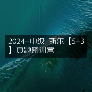 2024中级会计斯尔5+3真题密训营