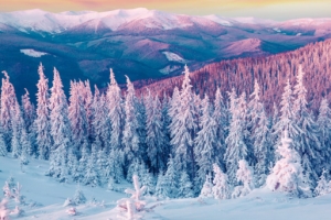 冬天美景雪山树木