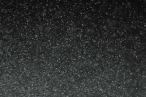 雨中美景高清H5背景