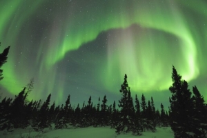 唯美森林夜空极光