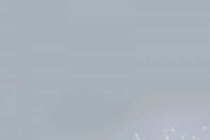 唯美宣传海报设计