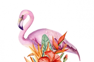 手绘粉色大鸟花朵海报