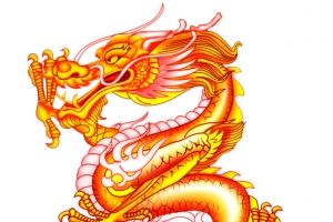 春节龙图案