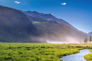 科罗拉多,绿色树林,湖,雾,自然风景3440x1440壁纸