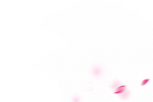 花瓣