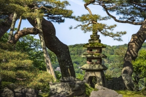 树 森林 塔 避难所 建筑 4k壁纸 3840x2160