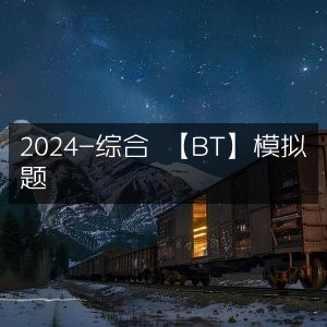 2024年BT综合模拟题精选
