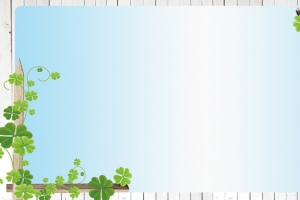 边框木质纹理蓝色banner背景