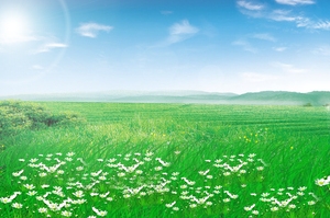 牧场天空白云背景