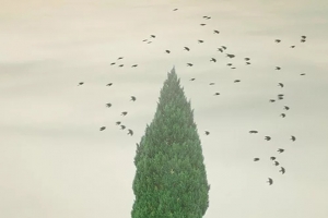 创意个性海报背景