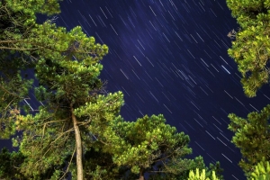 棵树 冰柜灯 星空 自然 4k壁纸 3840x2160