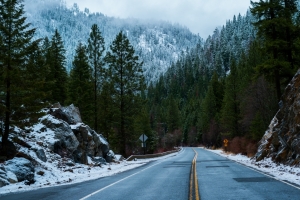 森林,道路,雪,冬天风景4k壁纸