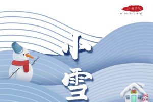 小雪将至小雪寒菘虫害少何妨大胆入庖厨