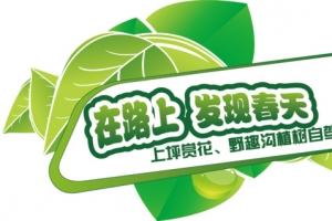 在路上试驾车贴模板