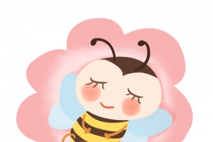花朵上睡觉的小蜜蜂