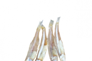 实物小鱼干银鱼