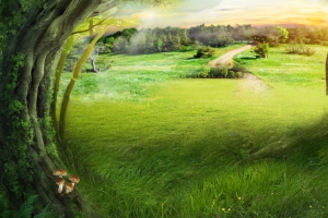 梦幻森林背景banner