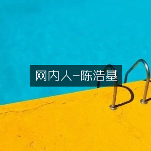 网内人-陈浩基，文学艺术书籍精选