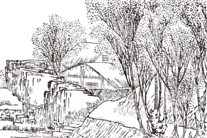 乡村手绘树叶遥远