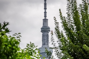 塔 建筑 树木 树叶 4k壁纸 3840x2160