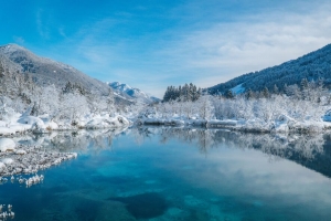 湖 雪 冬天 树 海岸 4k壁纸 3840x2160