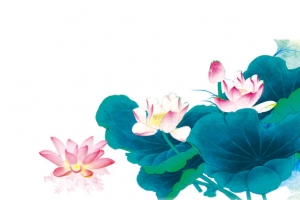 荷花