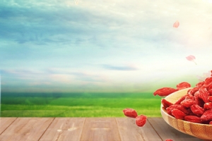 优质枸杞文艺景色banner