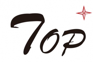 黑色简单 top排行