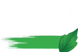 矢量环保绿色油漆刷