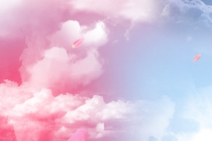 淘宝 店招 banner